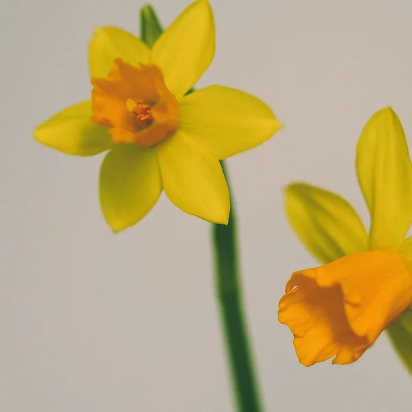 伟德国际棋牌游戏